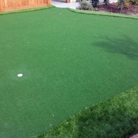 Artificial Grass Carpet Bonadelle Ranchos-Madera Ranchos, California Design Ideas