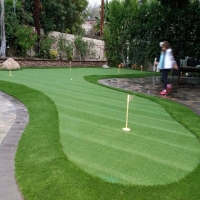 Artificial Grass Plainview, California Roof Top, Backyard Landscape Ideas