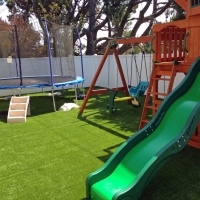 Artificial Turf Campbell, California Lawns, Backyard Garden Ideas