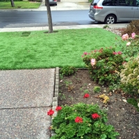 Artificial Turf Installation Newman, California Dogs, Front Yard Landscaping Ideas