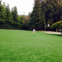 Artificial Turf Lockeford, California Home And Garden, Recreational Areas