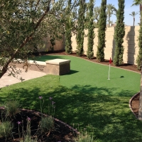 Artificial Turf Oakley, California Putting Green Carpet, Backyard Landscape Ideas