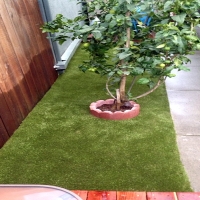 Best Artificial Grass Kernville, California Watch Dogs, Backyard Landscaping