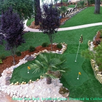 Fake Grass Carpet Fresno, California Landscape Photos, Backyard Design