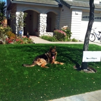 Fake Grass Monson, California City Landscape, Front Yard