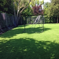 Fake Lawn Lamont, California Rooftop, Backyard