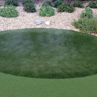 Fake Lawn San Carlos, California Landscaping