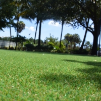 Fake Lawn Sand City, California City Landscape, Recreational Areas