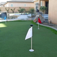 Fake Turf Chualar, California Design Ideas, Backyard Landscaping Ideas