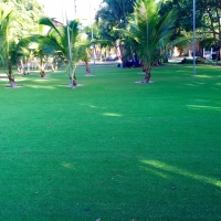 Grass Carpet French Camp, California Landscape Rock, Front Yard Landscaping