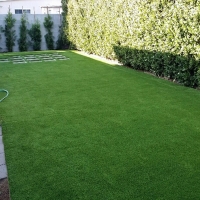 Grass Turf Pleasanton, California Pet Paradise, Backyard Landscaping