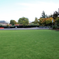 How To Install Artificial Grass Markleeville, California Landscape Ideas