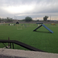 Lawn Services Los Berros, California Backyard Sports, Parks