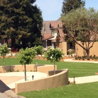 Lawn Services Manteca, California Landscaping, Front Yard Landscaping
