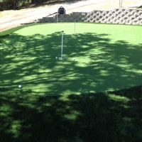 Outdoor Carpet Armona, California Putting Green Flags, Backyard Landscaping