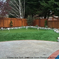 Synthetic Grass Raisin City, California Paver Patio, Backyard Landscape Ideas