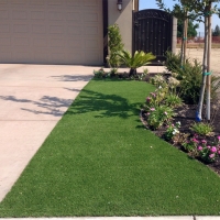 Synthetic Lawn Corralitos, California Backyard Deck Ideas, Front Yard Landscape Ideas