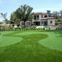 Synthetic Lawn Hornitos, California Putting Green Grass, Front Yard Ideas