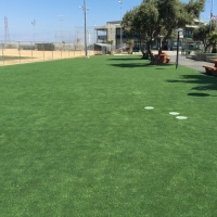 Synthetic Turf Supplier Alum Rock, California Home And Garden, Parks