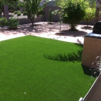 Synthetic Turf Supplier South Taft, California Pet Paradise, Backyard