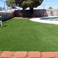 Turf Grass Ballico, California Cat Playground, Kids Swimming Pools