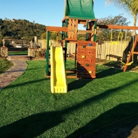 Turf Grass Riverdale, California Landscape Photos, Backyard Design