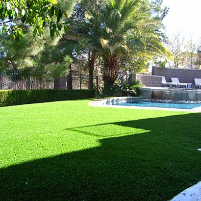 Artificial Grass Amesti, California Garden Ideas, Backyard Landscape Ideas
