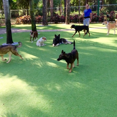 Artificial Grass Avila Beach, California Pet Grass, Dogs Park