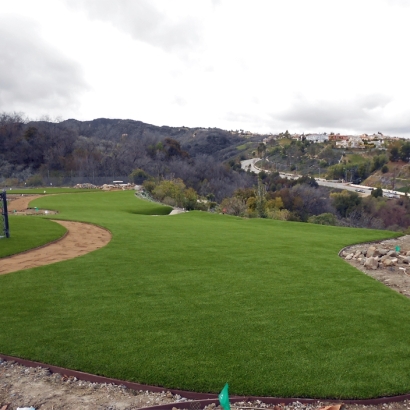 Artificial Grass Carmel Valley Village, California Lawn And Landscape