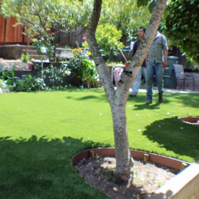 Artificial Grass Carpet Dorrington, California Landscaping, Small Backyard Ideas