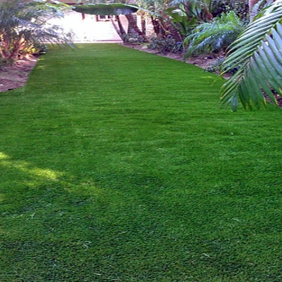 Artificial Grass Carpet Hughson, California Landscape Design, Backyard Design