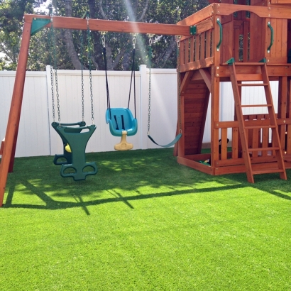 Artificial Grass Carpet Mokelumne Hill, California Playground, Small Backyard Ideas