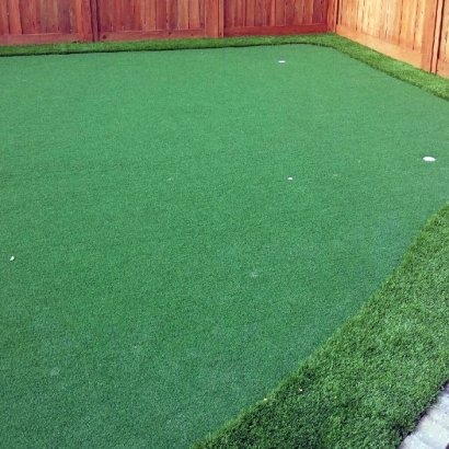 Artificial Grass Carpet Strathmore, California Indoor Putting Green, Backyard Design