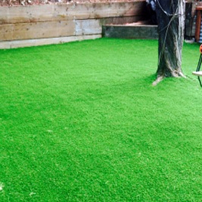 Artificial Grass Installation Alum Rock, California Lawns, Backyard