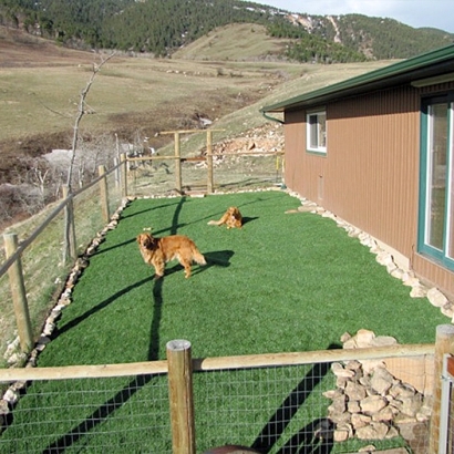 Artificial Grass Installation Waukena, California Home And Garden, Backyard Designs