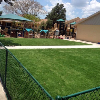 Artificial Grass McFarland, California Roof Top, Commercial Landscape