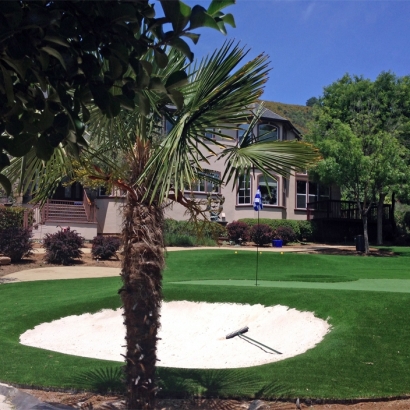 Artificial Grass Mendota, California Landscaping, Front Yard Landscaping