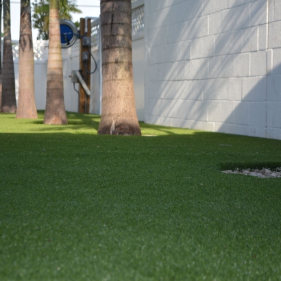 Artificial Grass Taft Mosswood, California Landscape Photos, Commercial Landscape