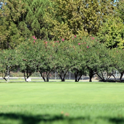 Artificial Lawn Bonny Doon, California Lawn And Garden