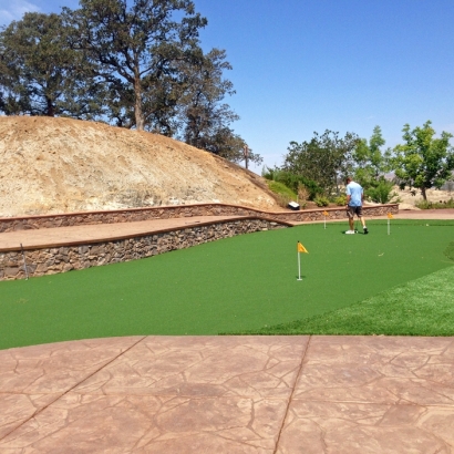 Artificial Lawn Del Monte Forest, California Diy Putting Green, Backyard Designs