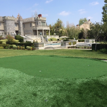 Artificial Lawn Hardwick, California Landscape Ideas, Front Yard Design