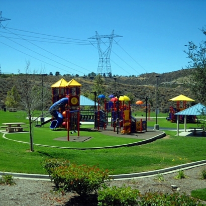 Artificial Lawn La Vina, California Paver Patio, Recreational Areas
