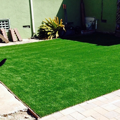 Artificial Lawn Los Gatos, California Indoor Dog Park, Backyard Makeover