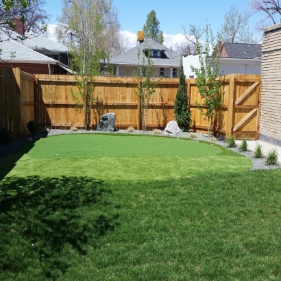 Artificial Lawn Pixley, California Indoor Putting Green, Backyard Landscaping Ideas