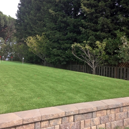 Artificial Turf Cost Antioch, California Office Putting Green, Backyard Designs