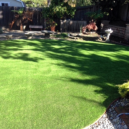 Artificial Turf Cost Avery, California Dogs, Backyard Garden Ideas