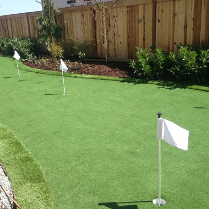 Artificial Turf Cost East Oakdale, California How To Build A Putting Green, Backyard Landscaping Ideas