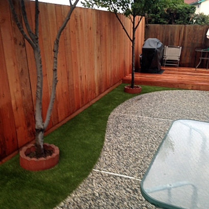 Artificial Turf Cost Greenacres, California Hotel For Dogs, Backyard Landscaping Ideas