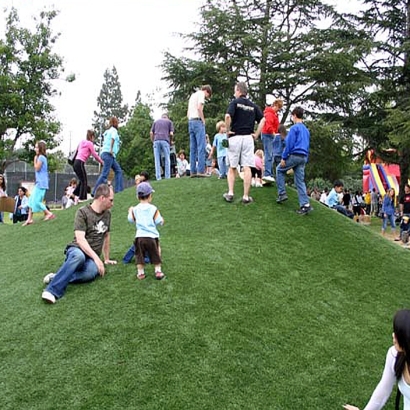 Artificial Turf Cost Milpitas, California Athletic Playground, Recreational Areas