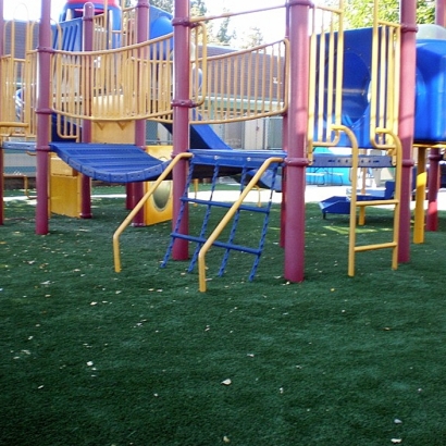 Artificial Turf Cost Ponderosa, California Design Ideas, Commercial Landscape